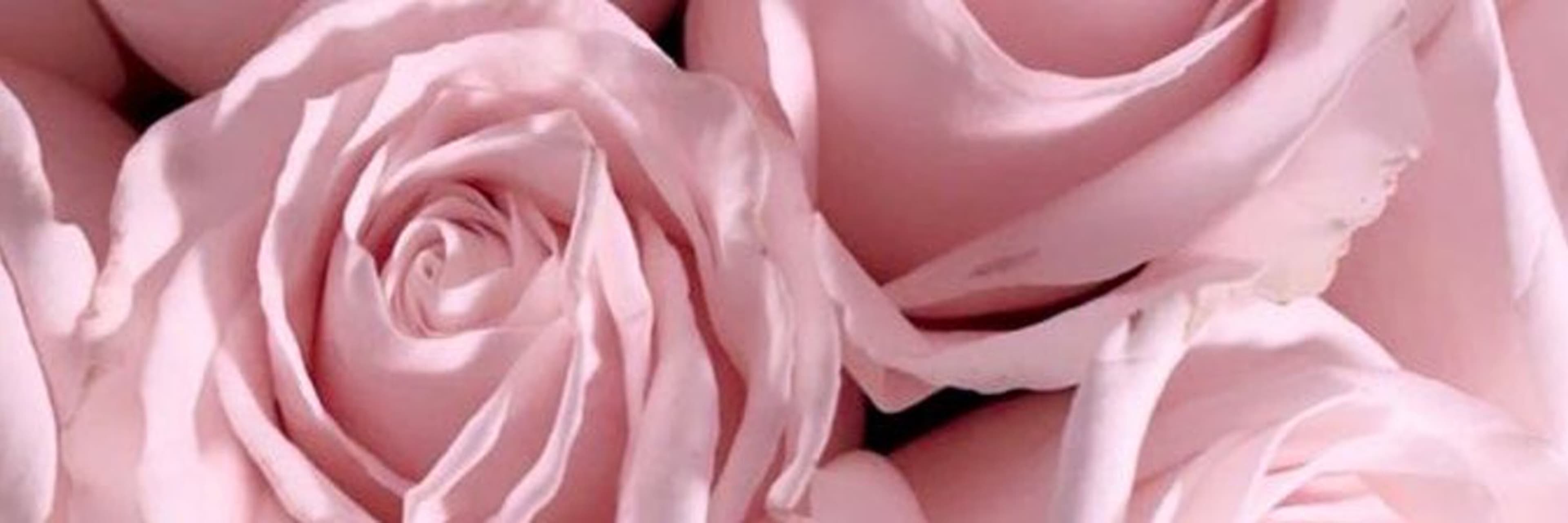 Sophie ๐ banner image