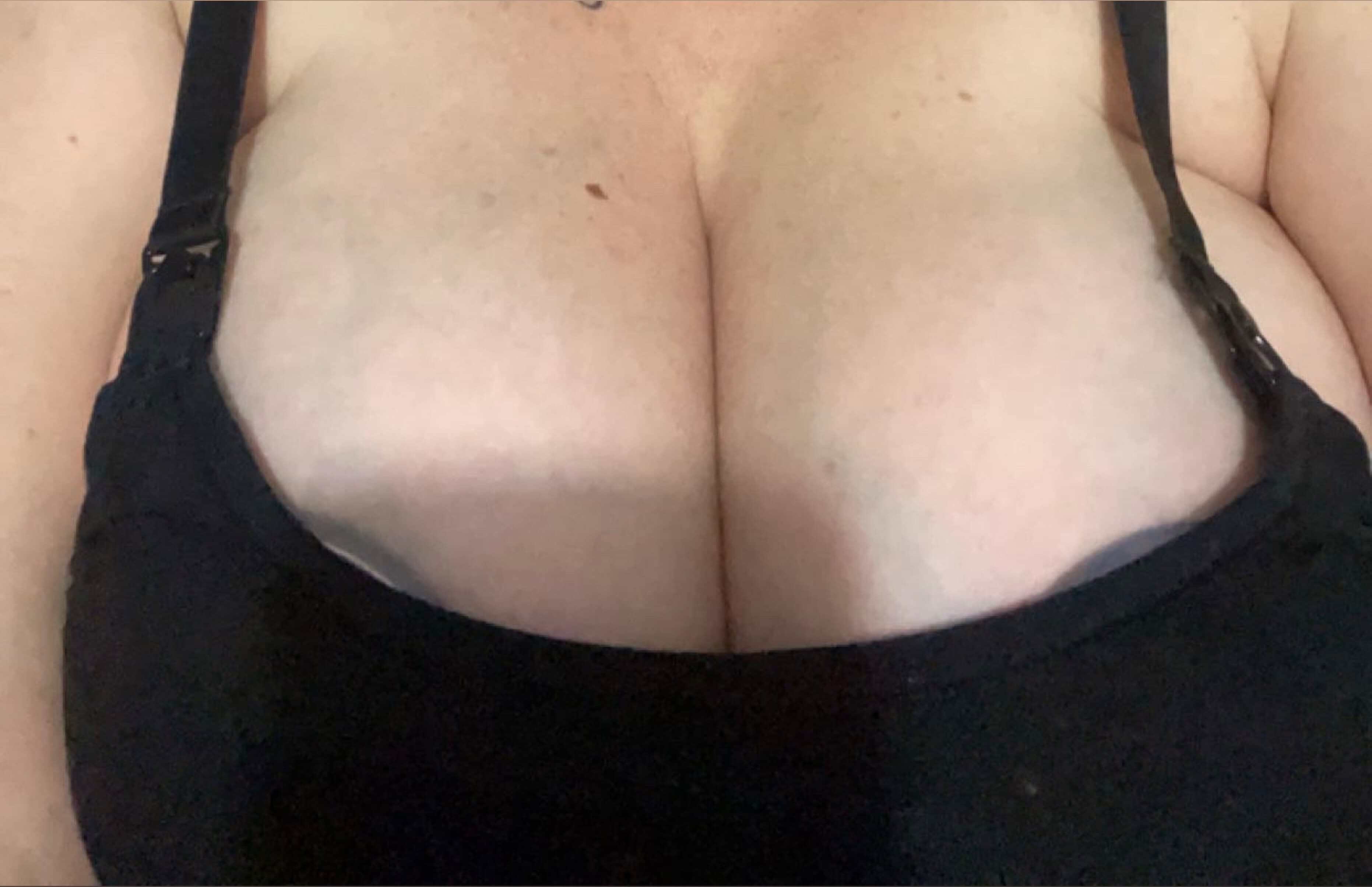 Untamed banner image