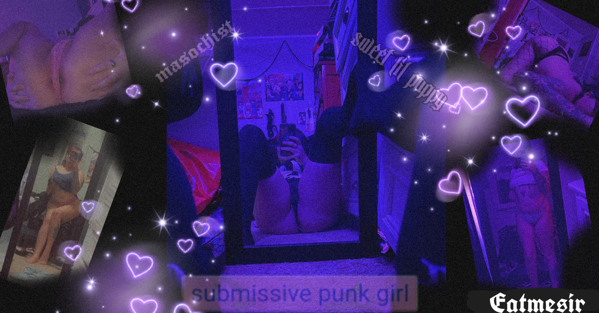 Punk Pup🐾 banner image