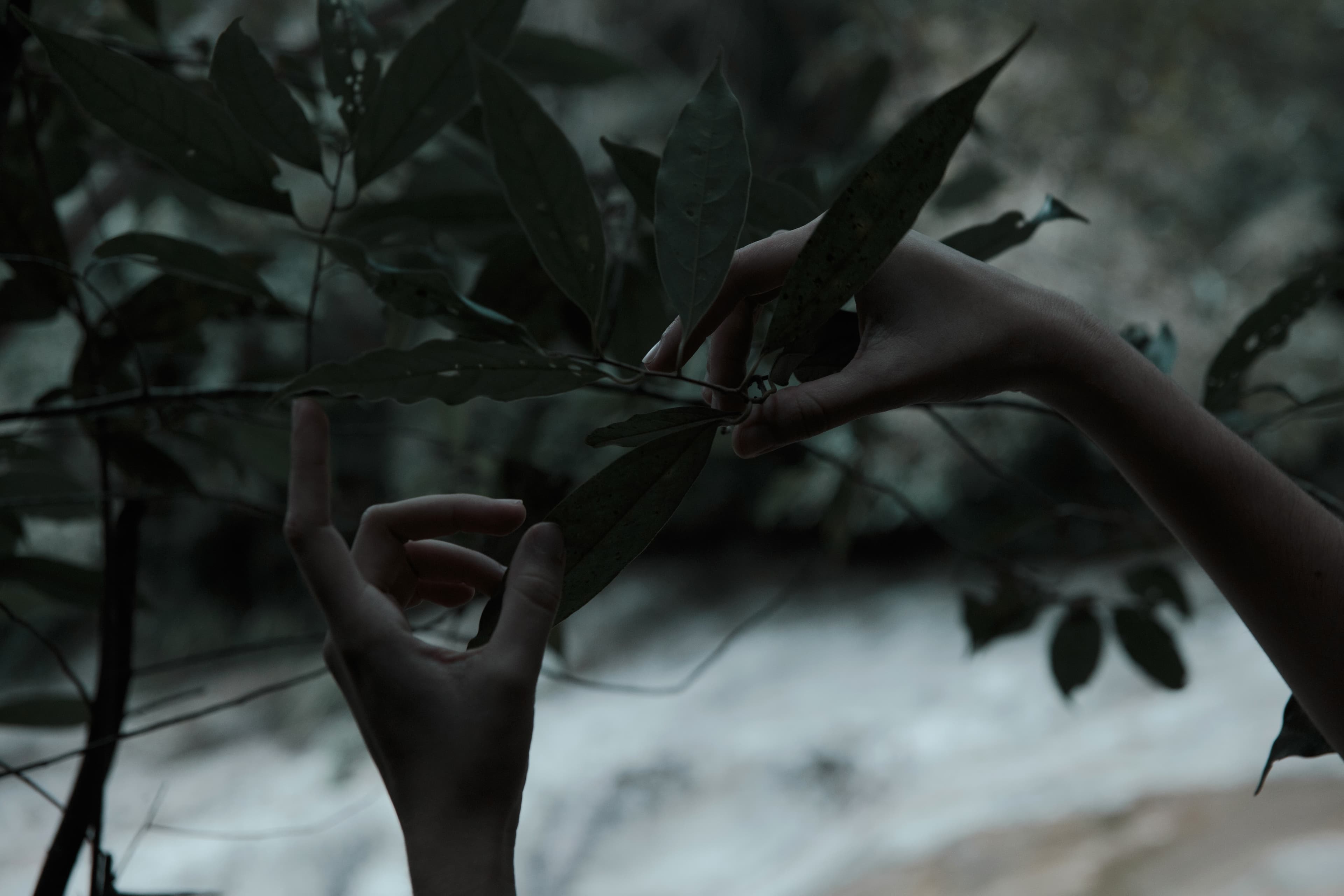 Skinny love banner image