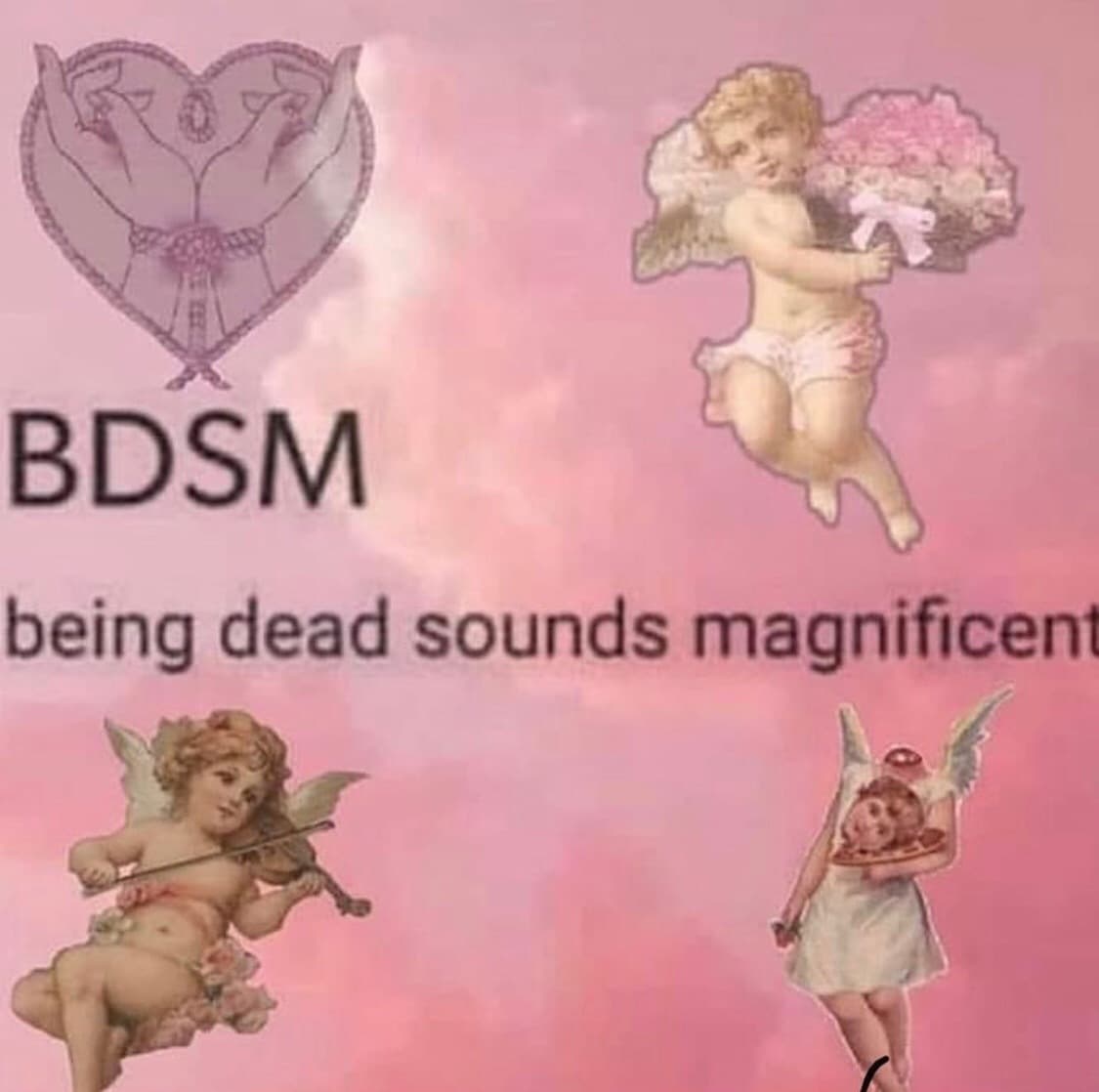 bbyvenuskitten banner image