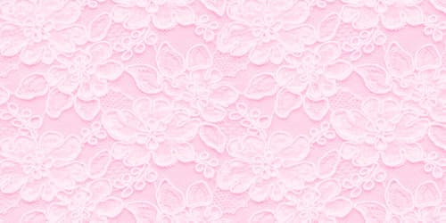 vixen fallon banner image