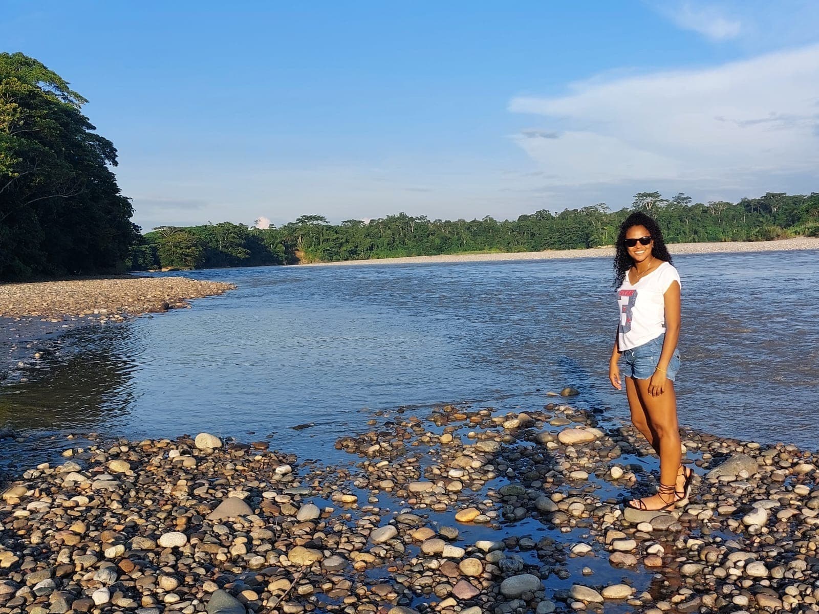 Morena banner image