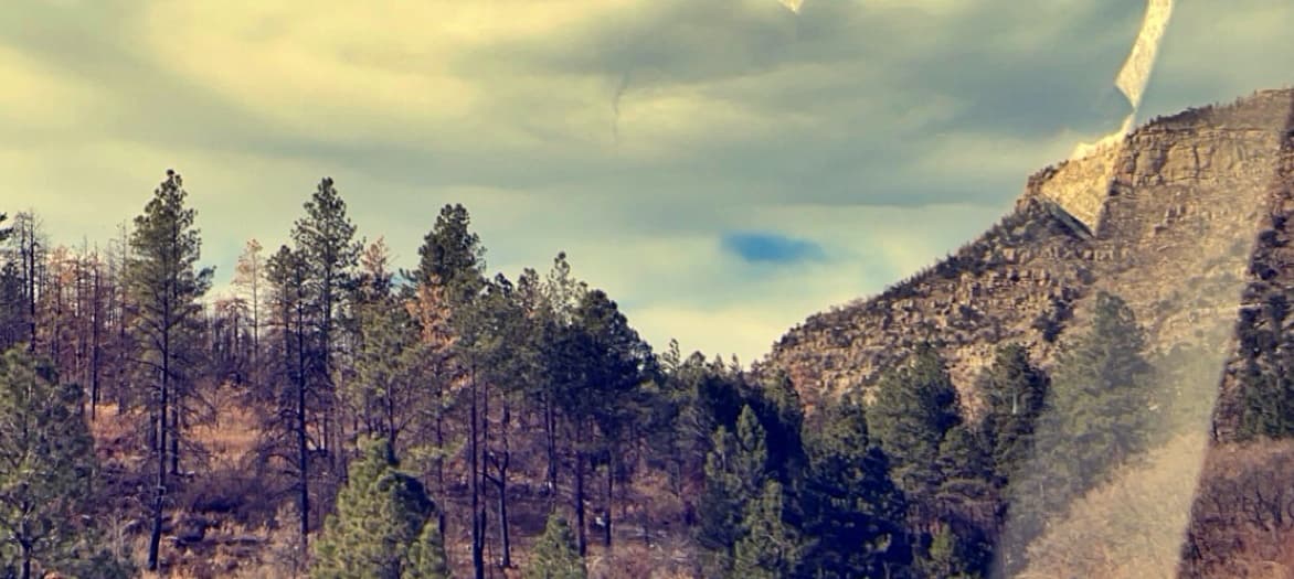 B.THICC banner image