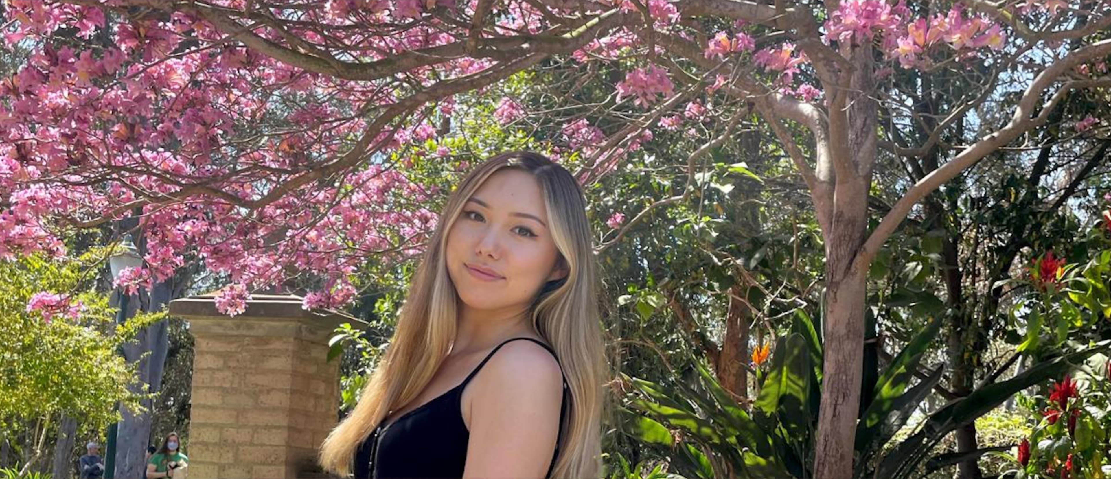 T ♡ banner image