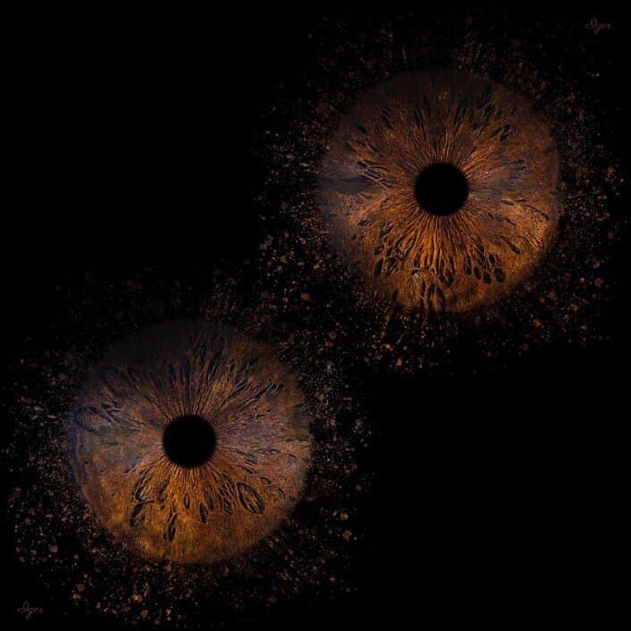 DANY SILVA banner image