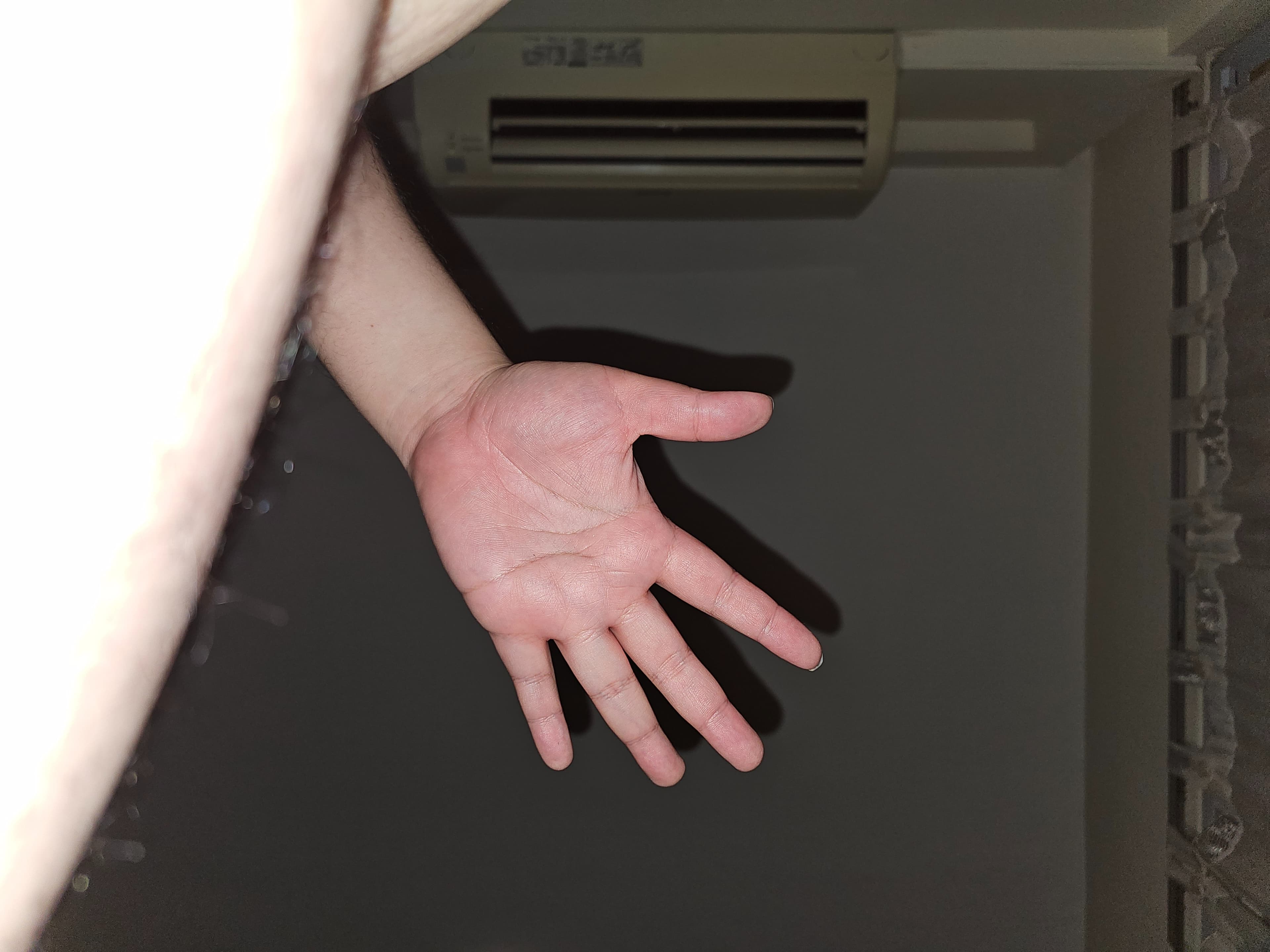 Adam banner image
