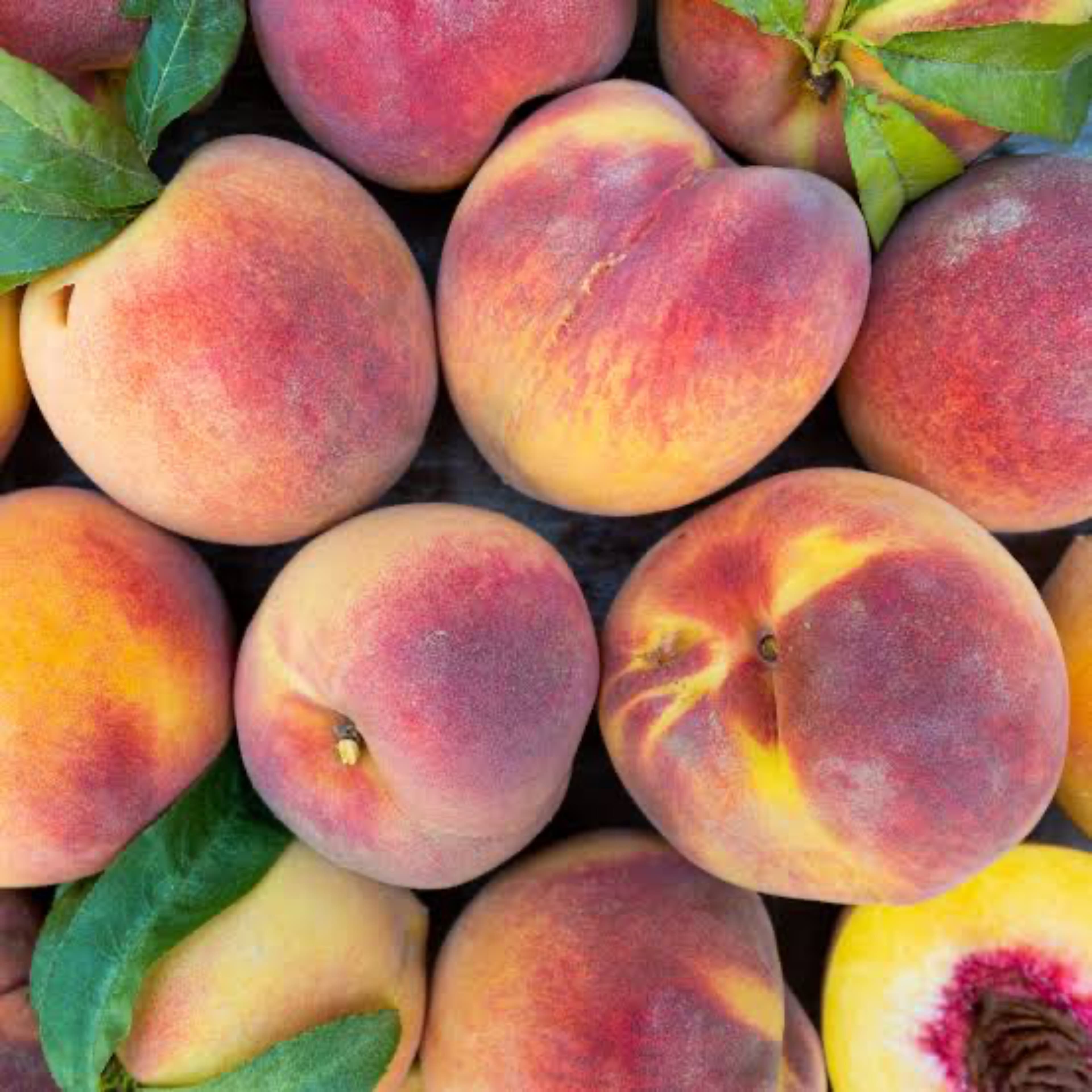Mrs Peachy Sue🍑 banner image