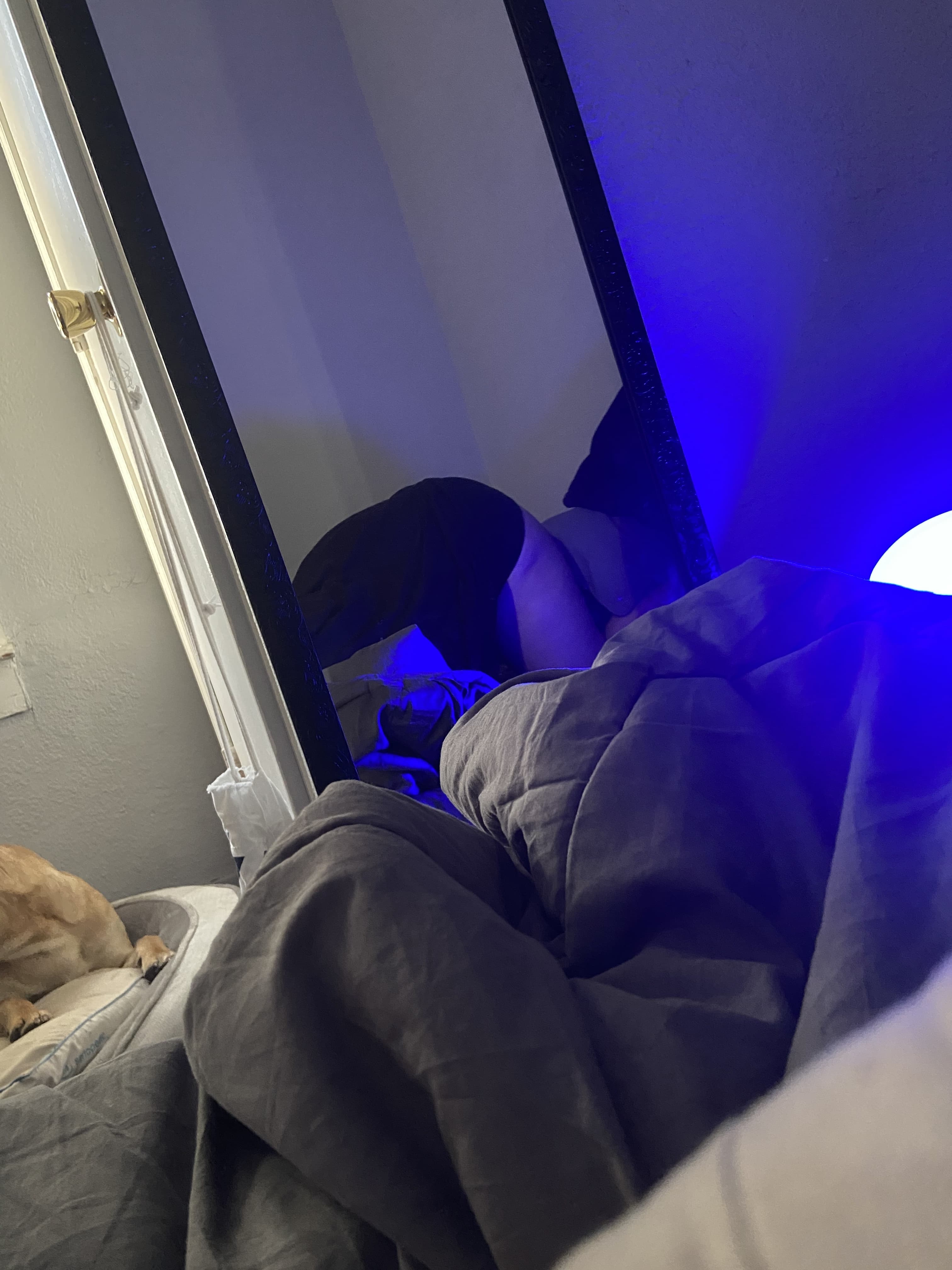 destiny ๐ banner image