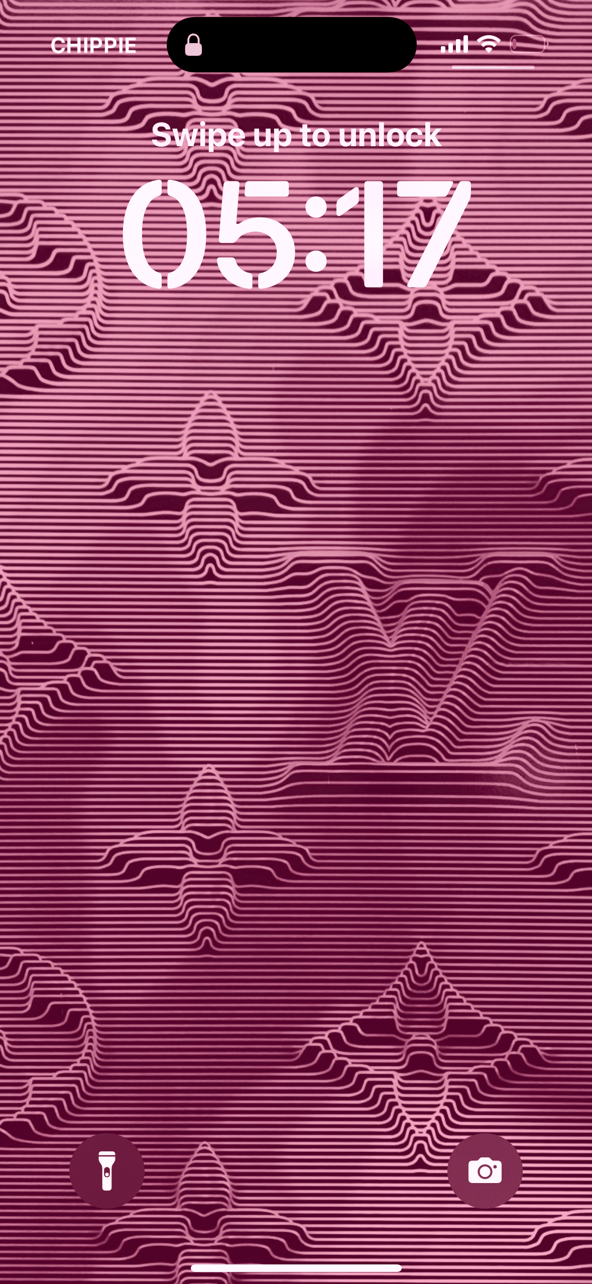Bella banner image