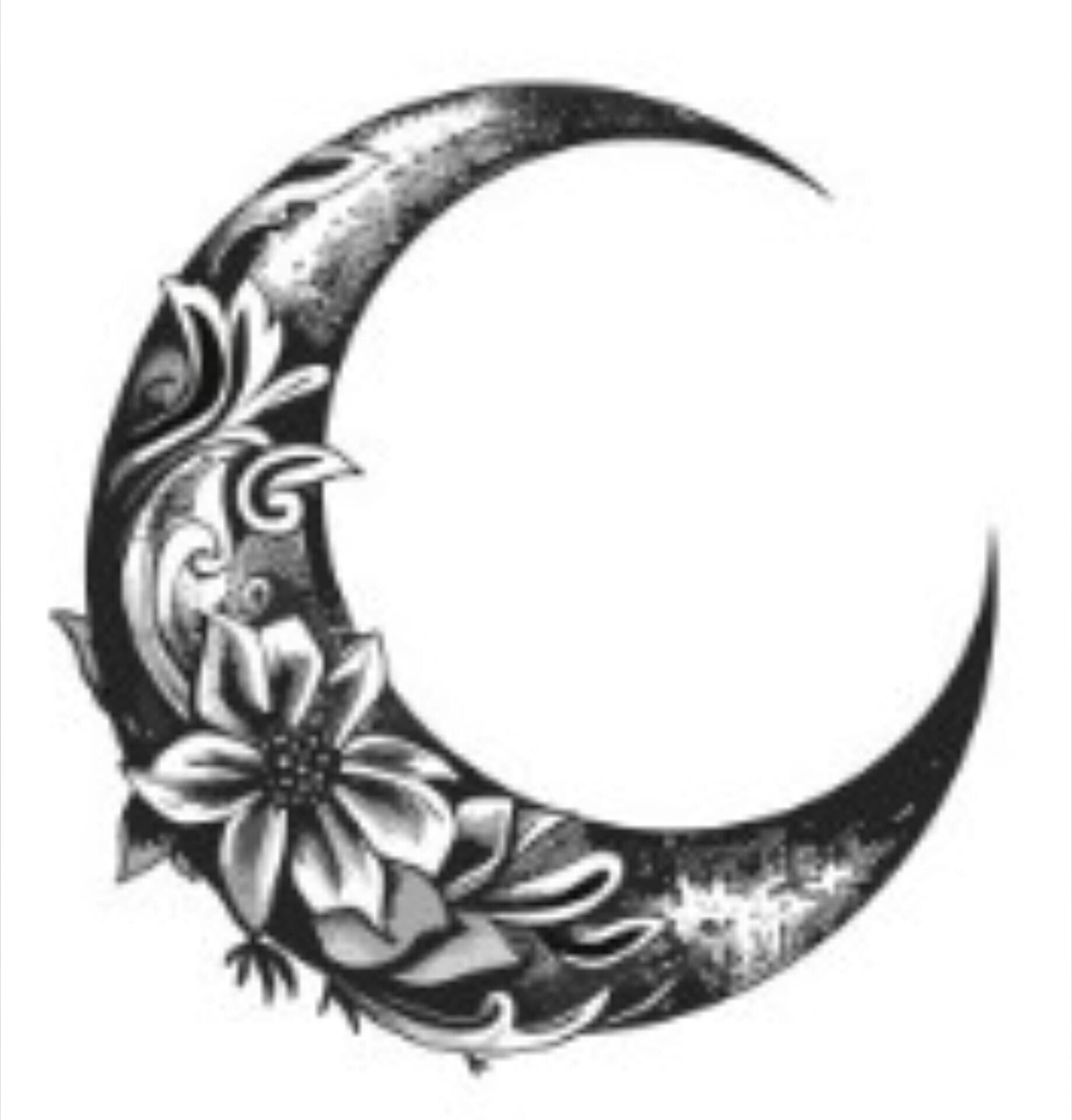 WiseFrea banner image
