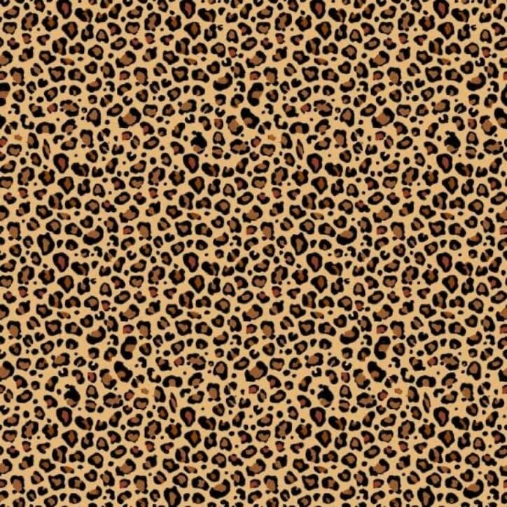 πΈπππππ π·πππππ banner image