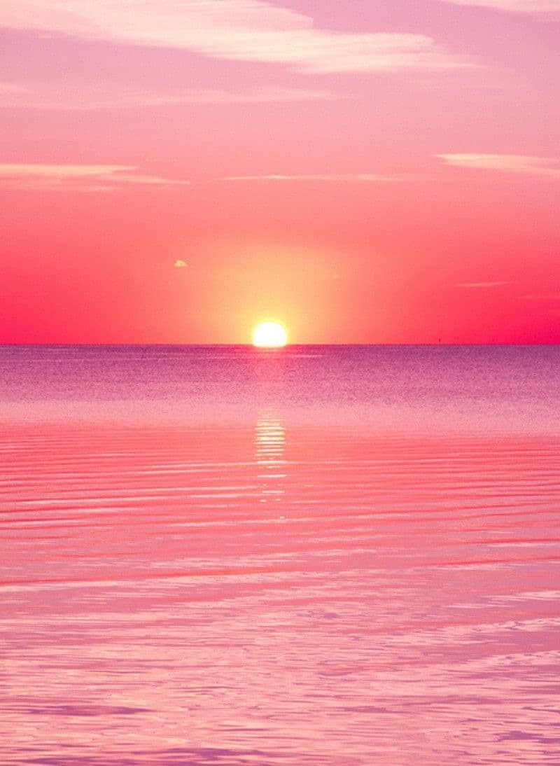 Tahlia Lovett banner image