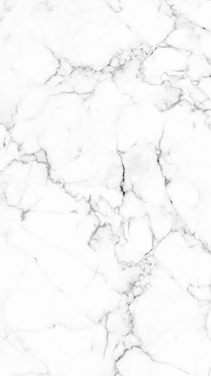 Connor Jeff banner image