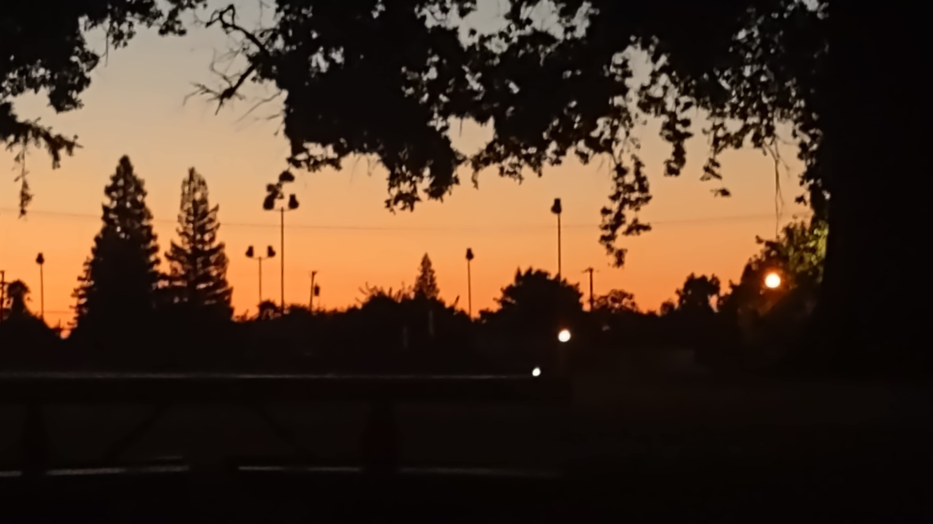 MEH banner image