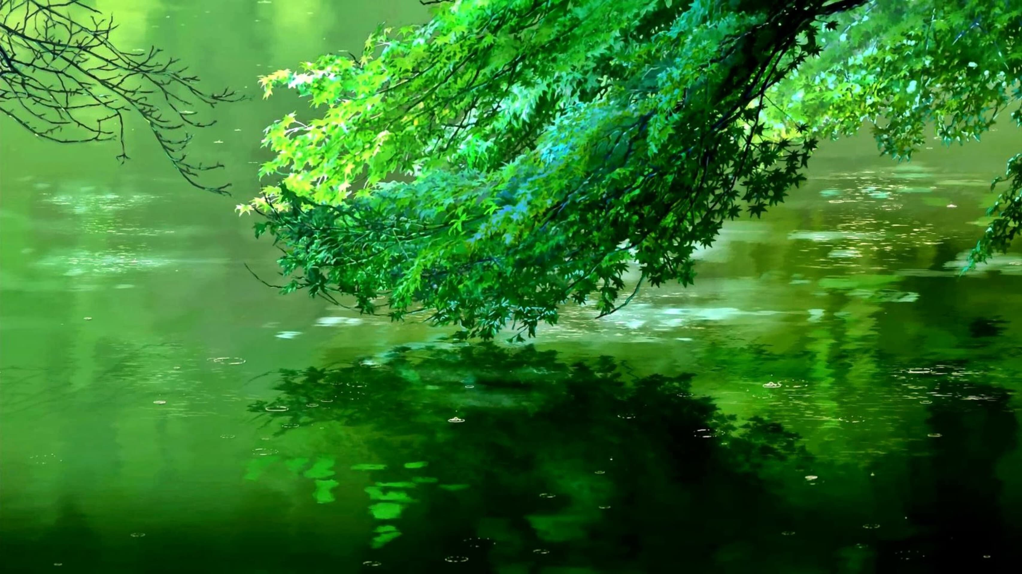 TheW banner image