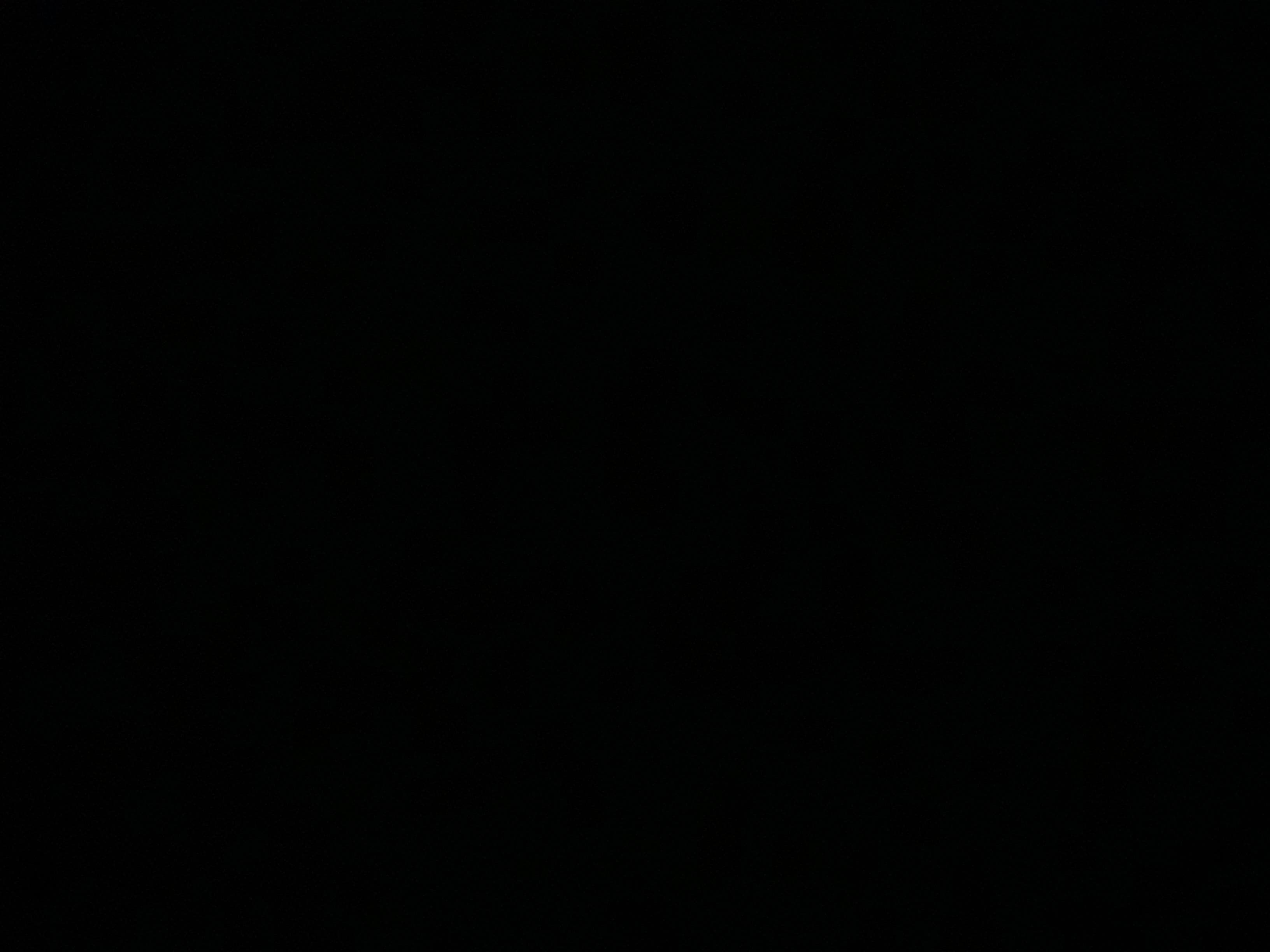 Vixen banner image
