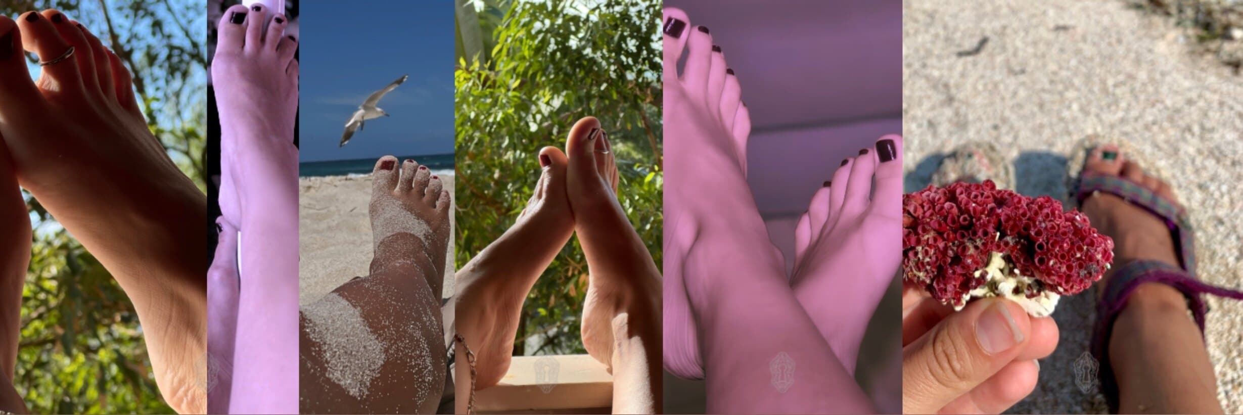 Dancersoles banner image