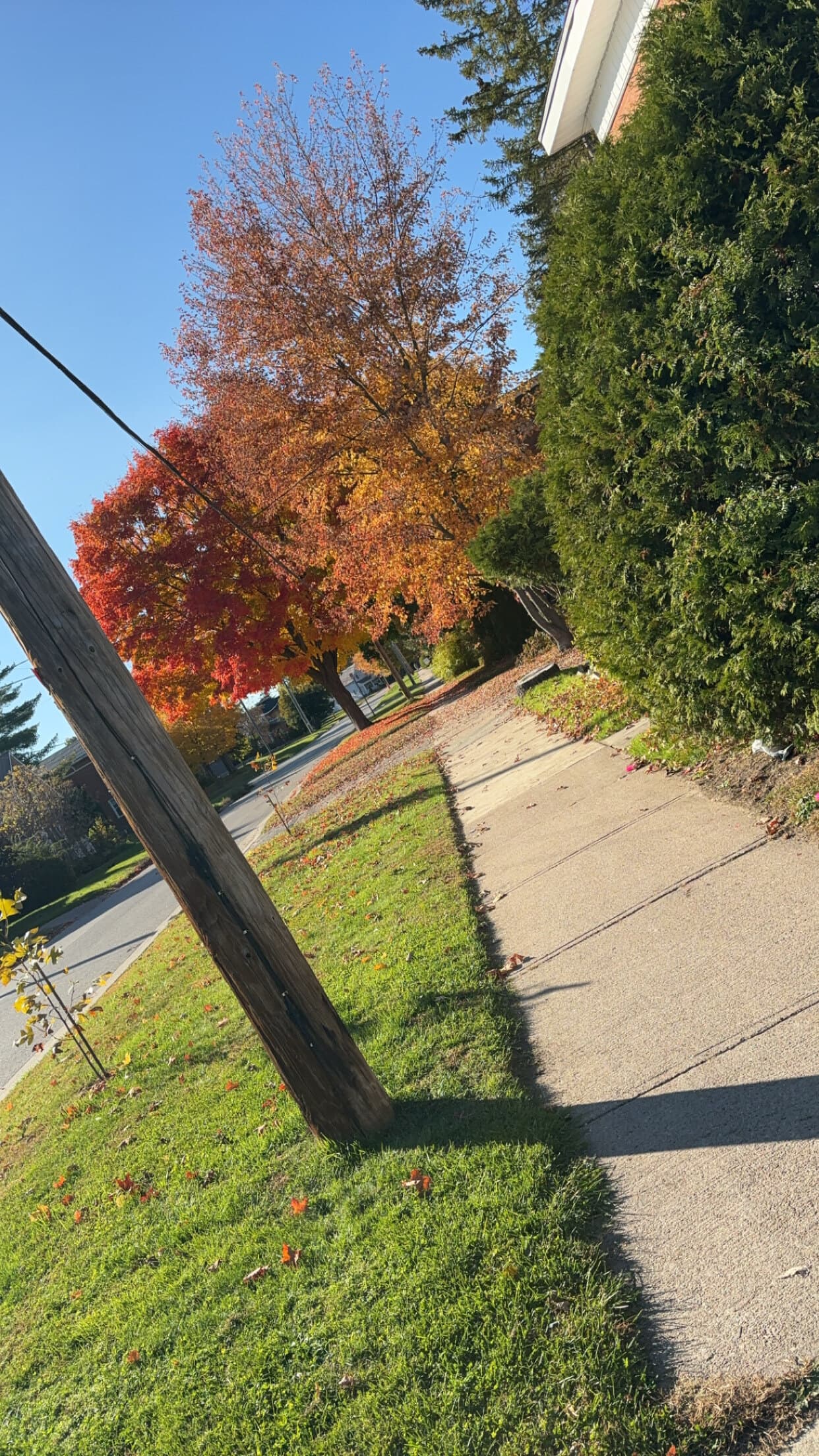 SpicyTeeXoXo banner image
