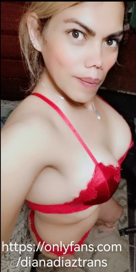 Dianadiaztrans banner image