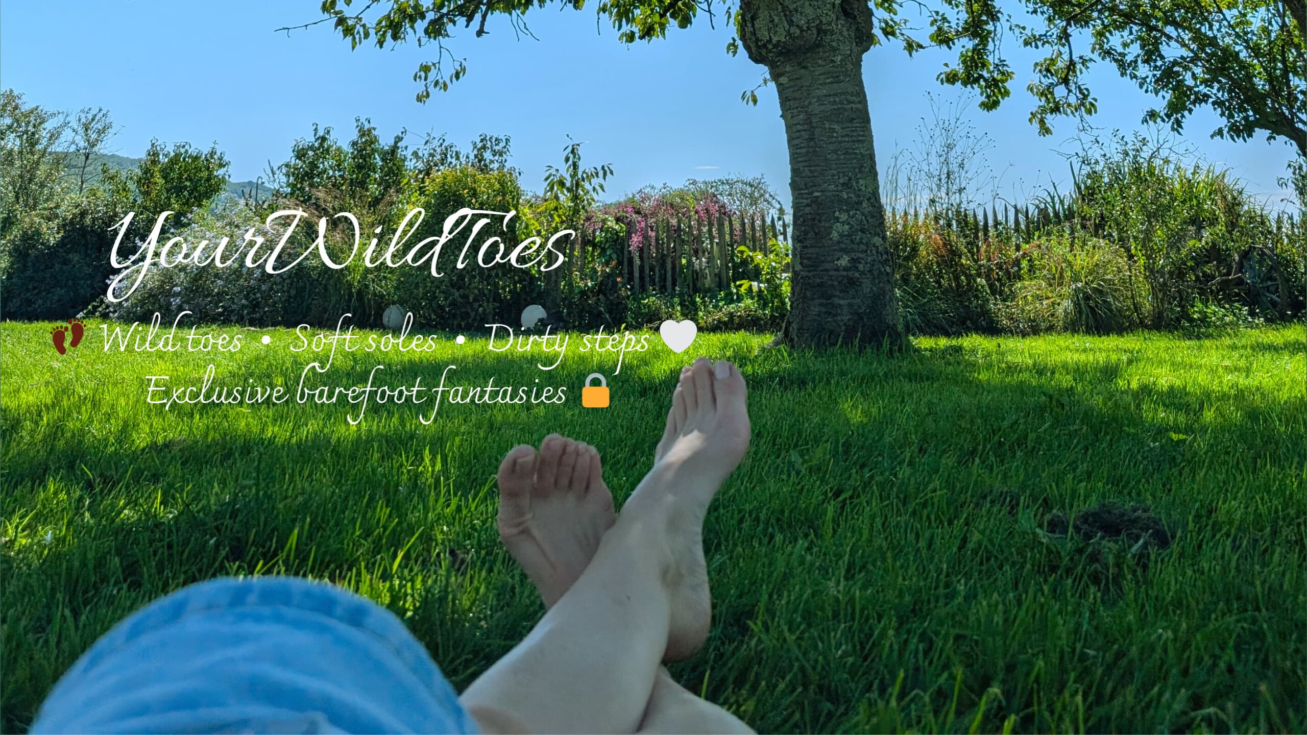 YourWildToes banner image
