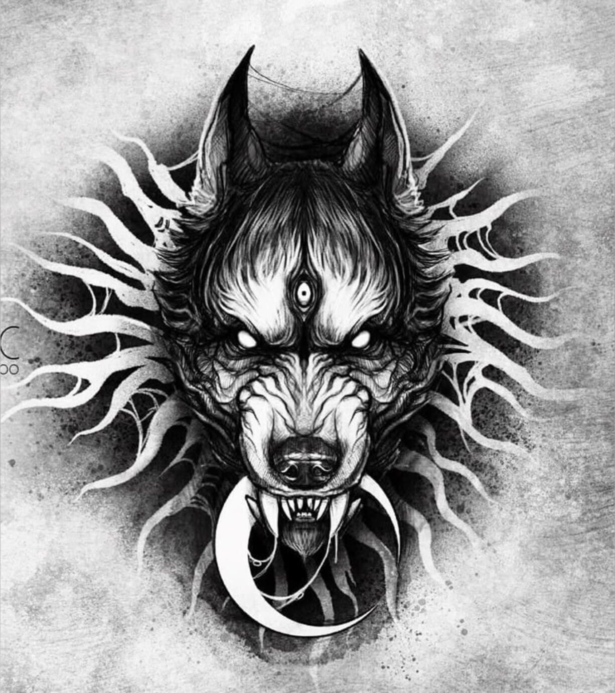 BlankaSOFinee banner image