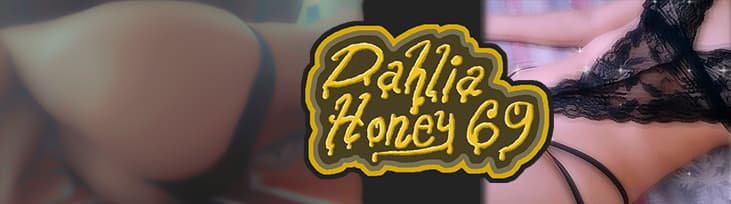 Dahlia Honey banner image