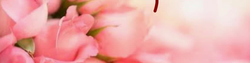 DutchessDees banner image