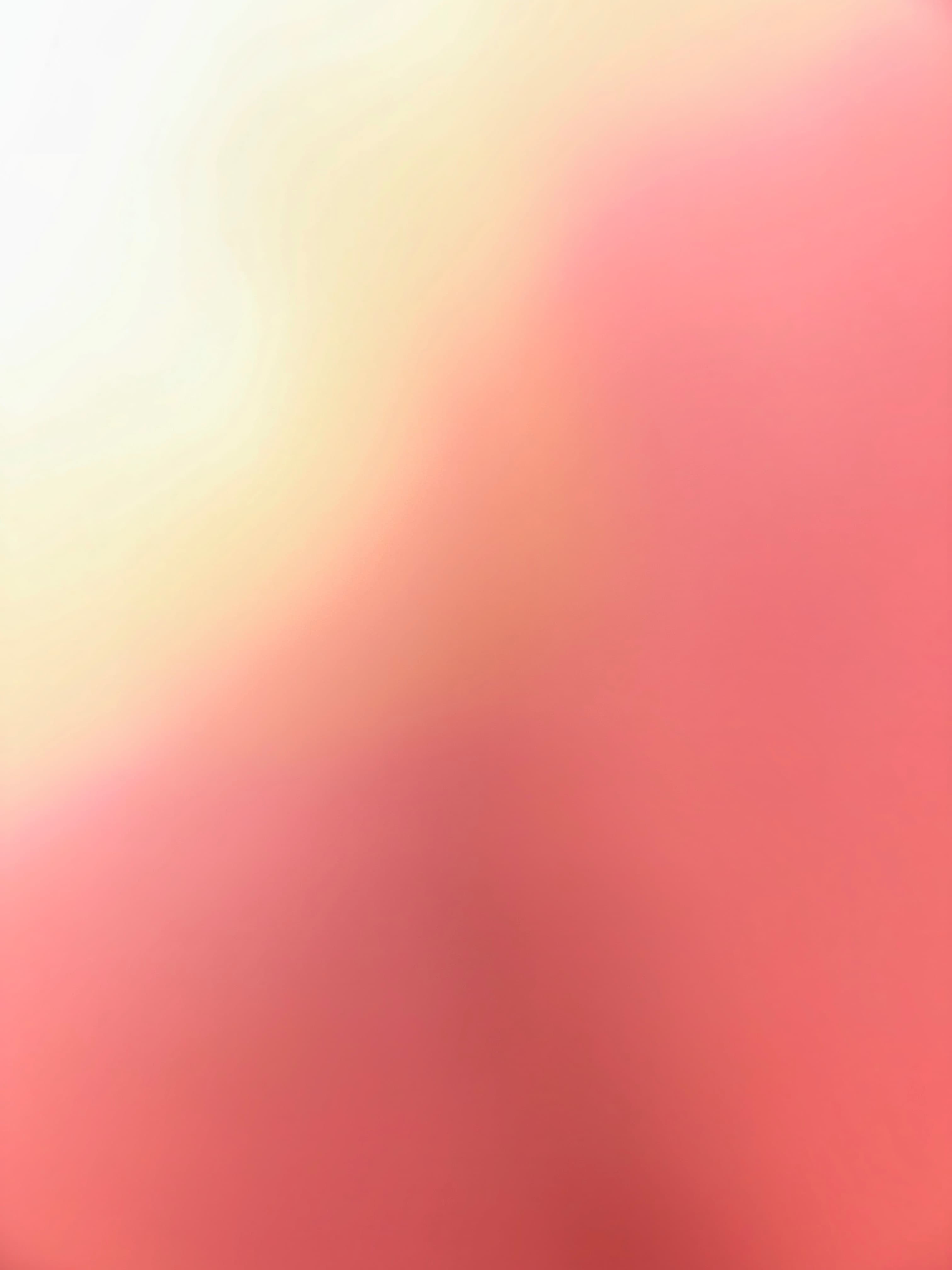 Arelia banner image