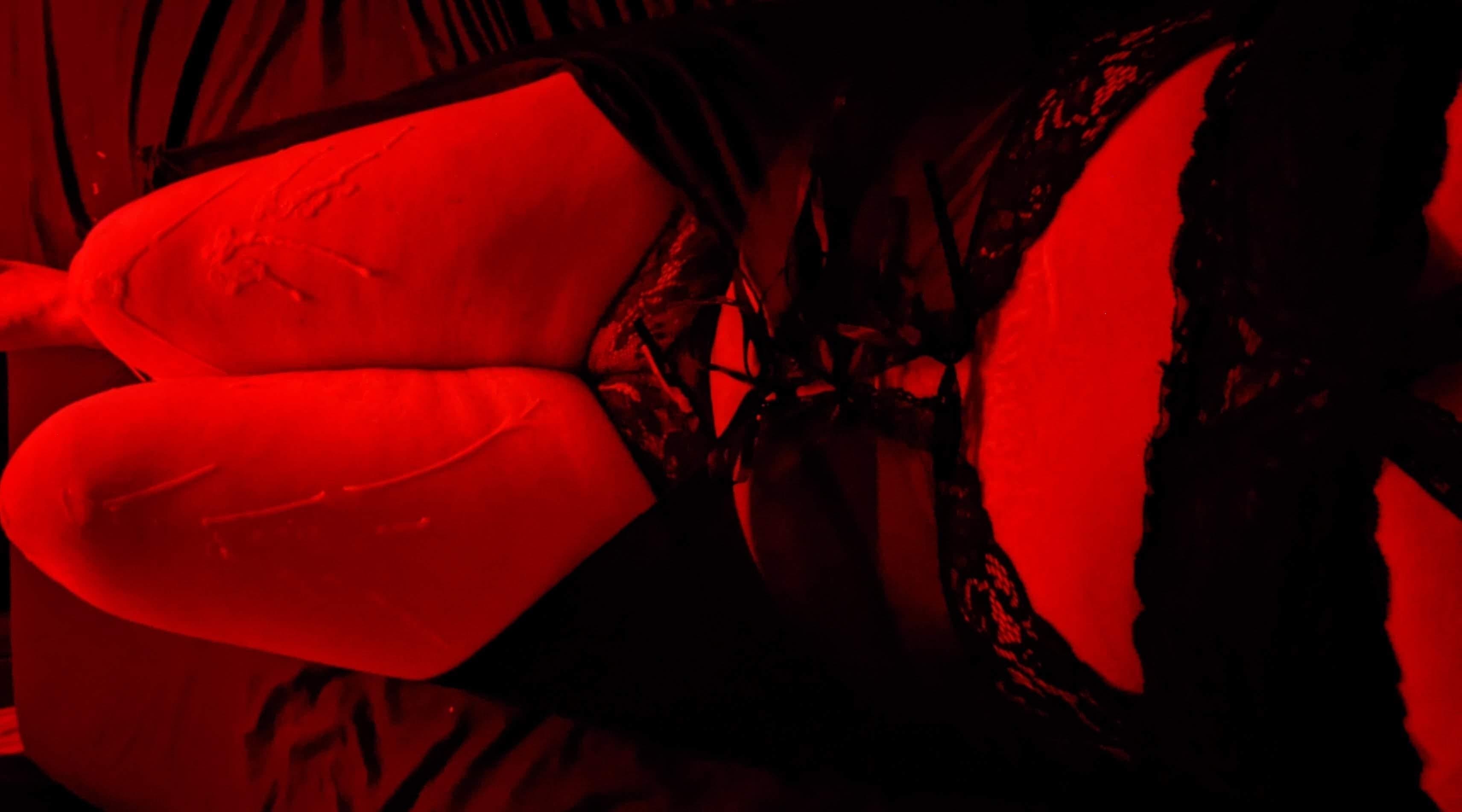 Kiwikitten74 banner image