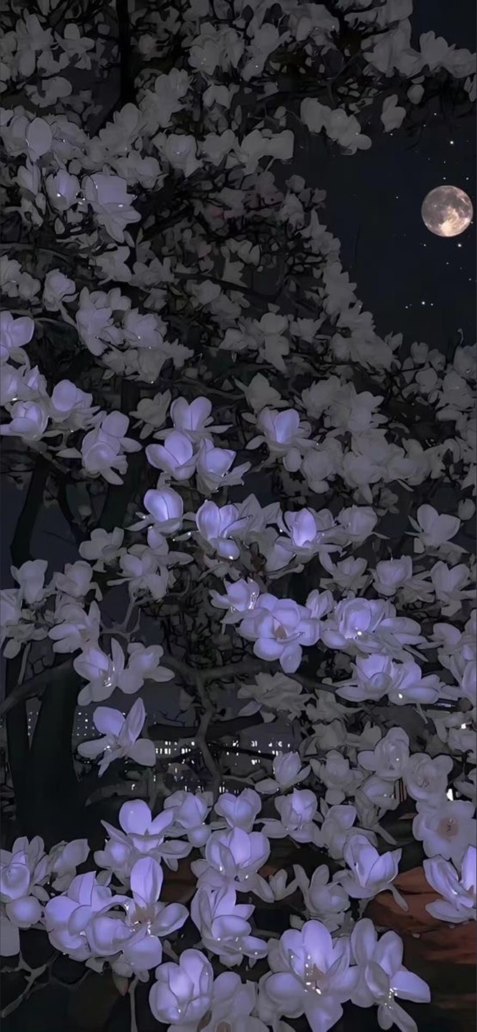 β½ ππ²π«π πππ³π¦π°π₯ βΎ banner image