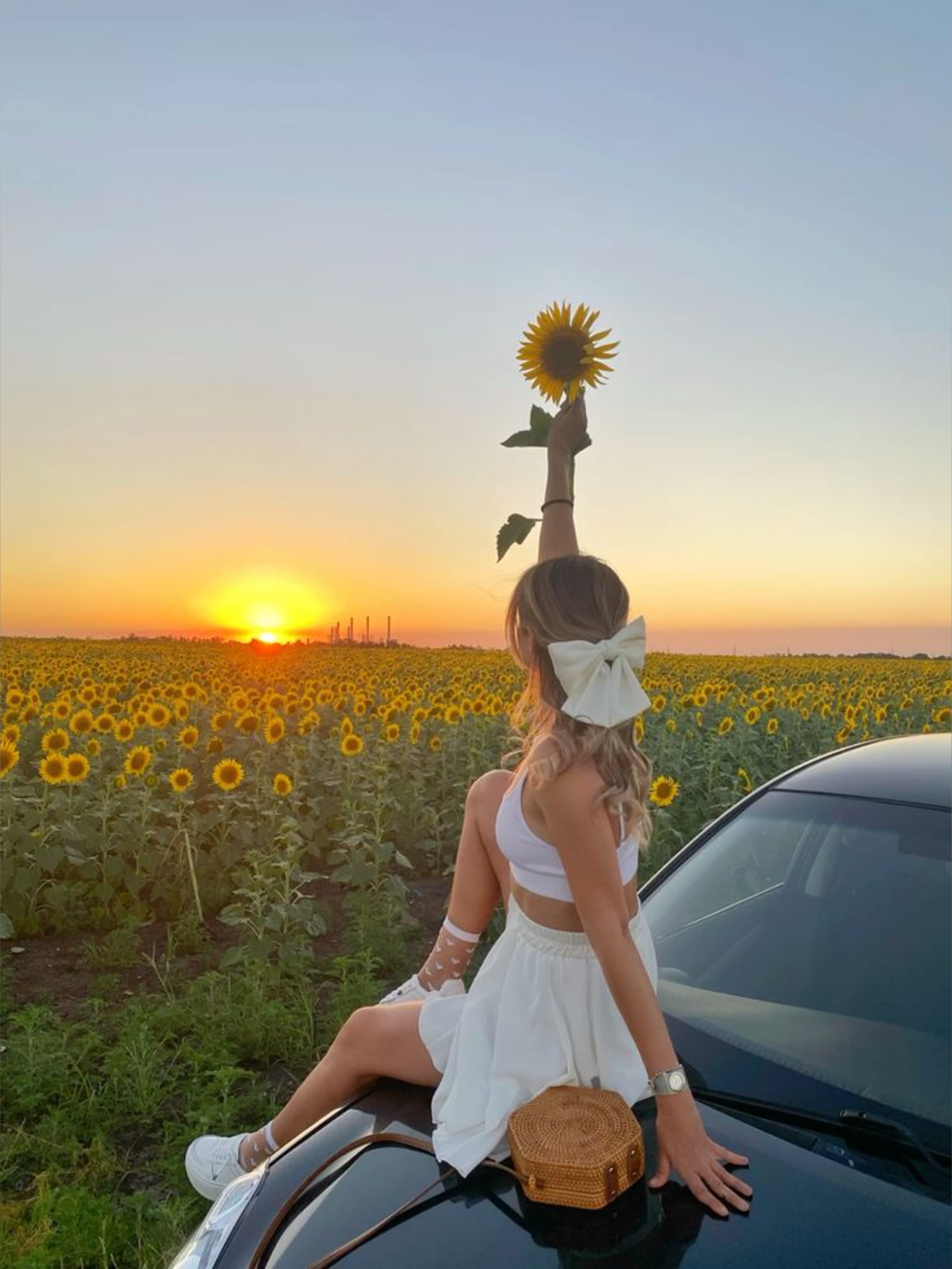 SoftCoreQueen banner image