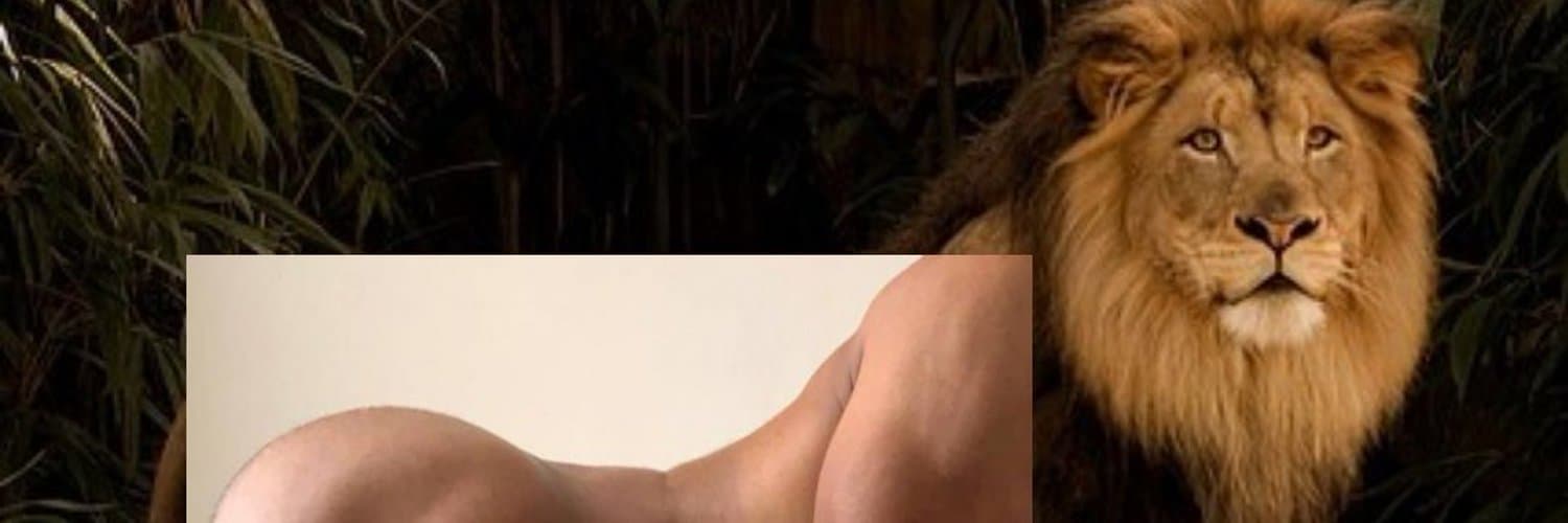 Calix banner image