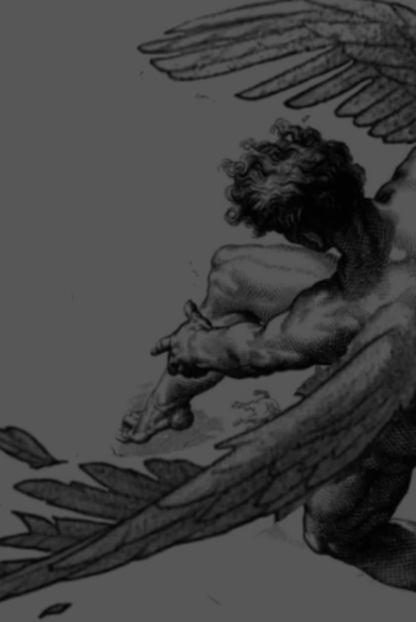 Nash Gray banner image