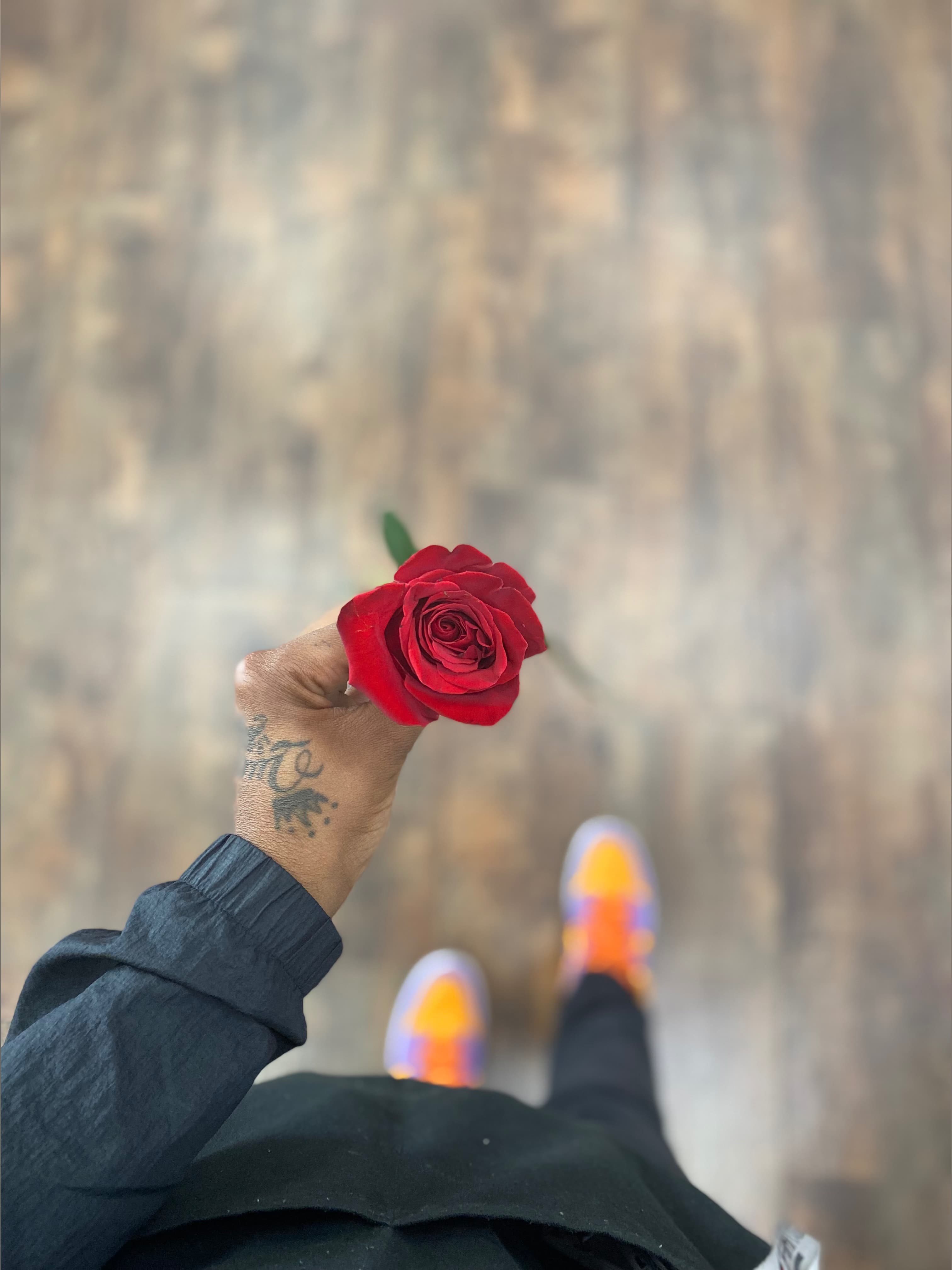 Sevynnn_Dxorr banner image
