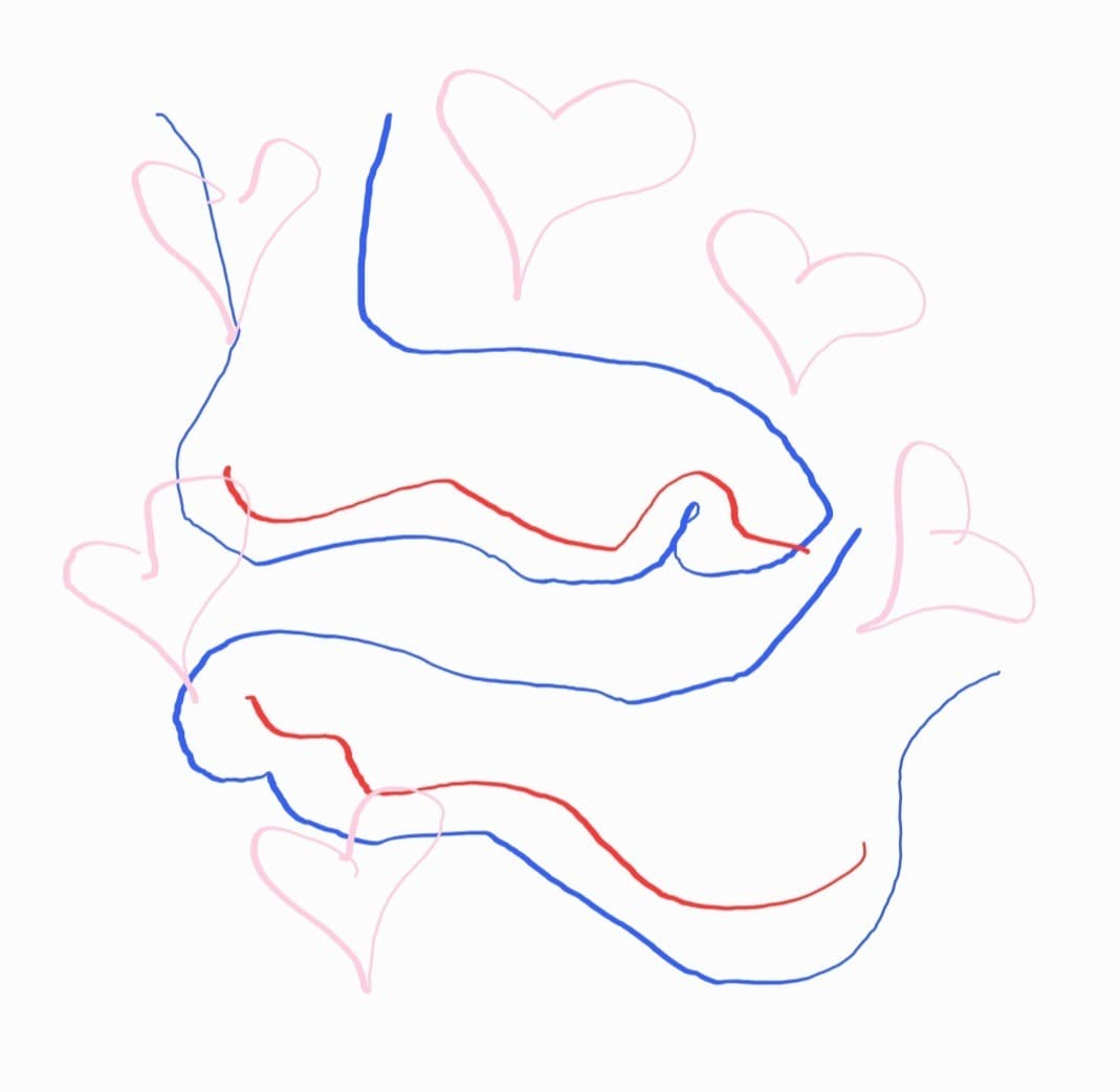 Toecurler banner image