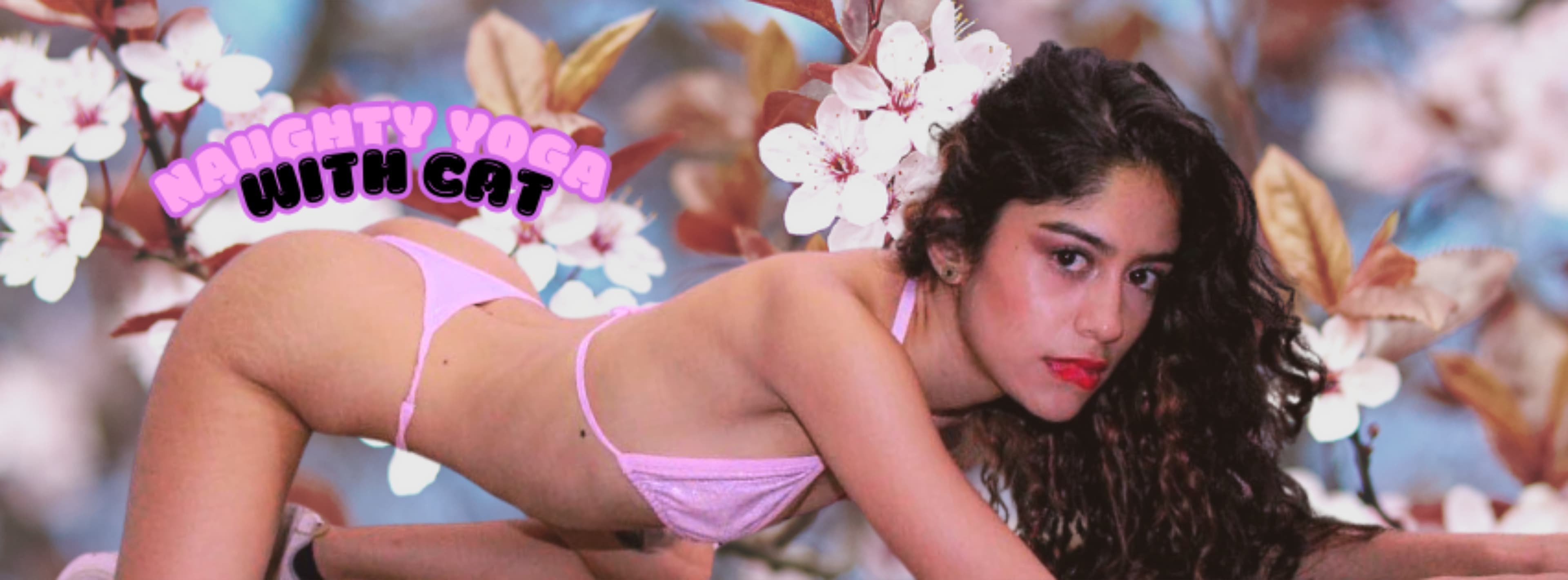 Cat_Smit banner image