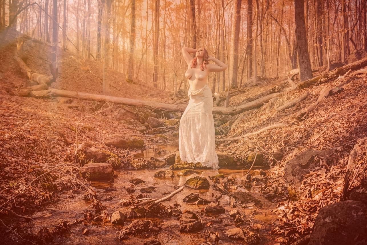 Lauren McNally banner image