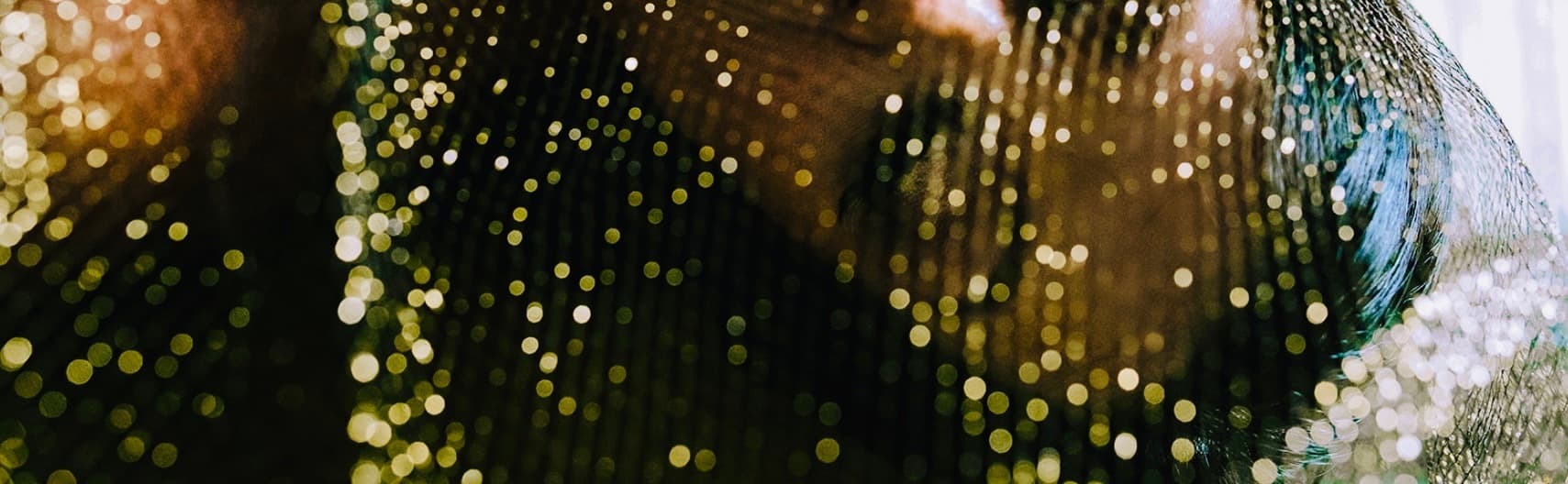 Genna Fernier banner image