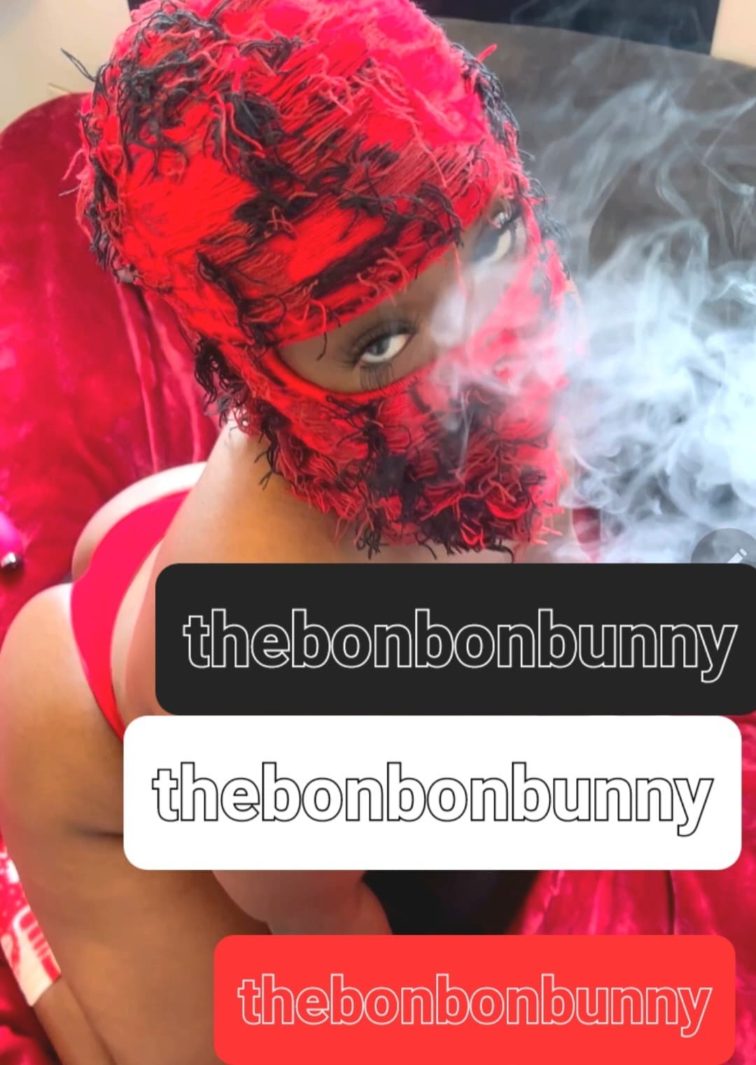 Bonnie No'Clyde banner image
