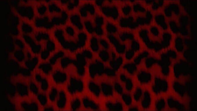 PegacisPrincess banner image