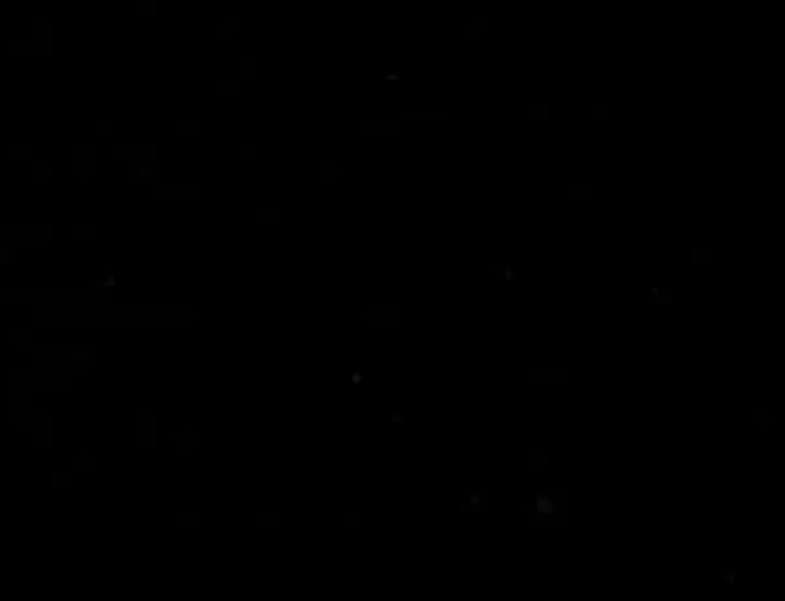 Latex kittenn banner image