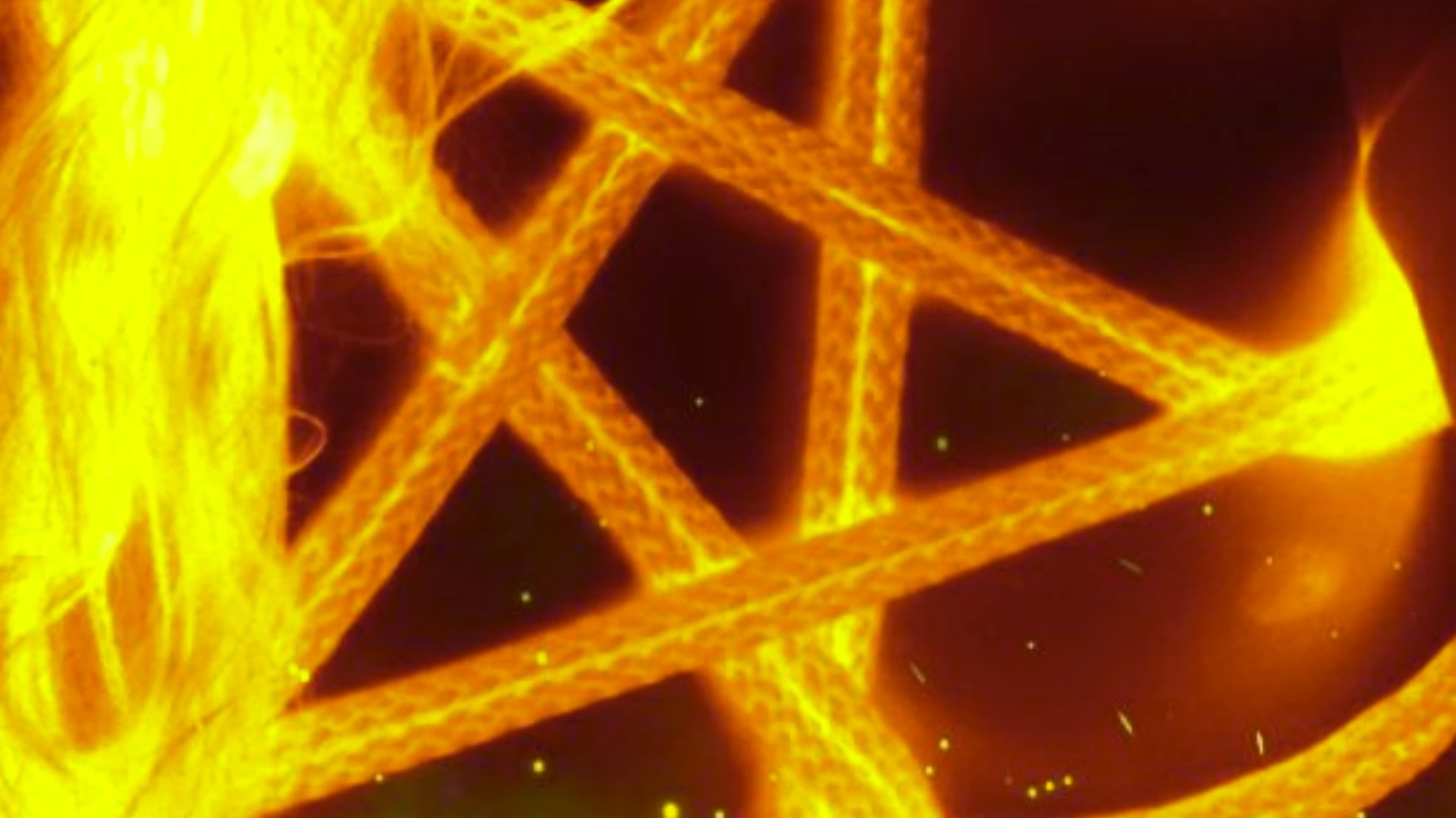 Ryan banner image