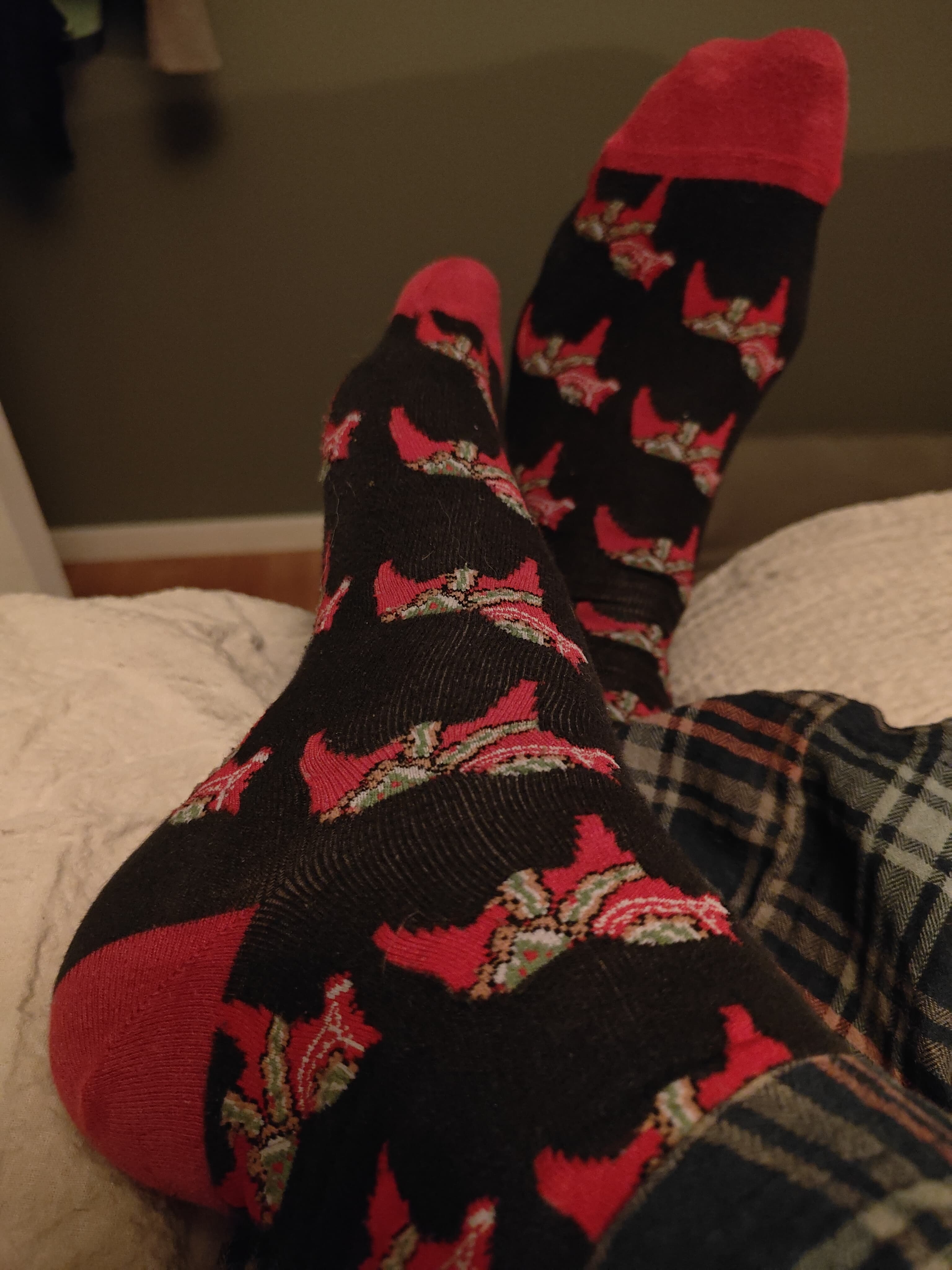 Nordicfeet banner image