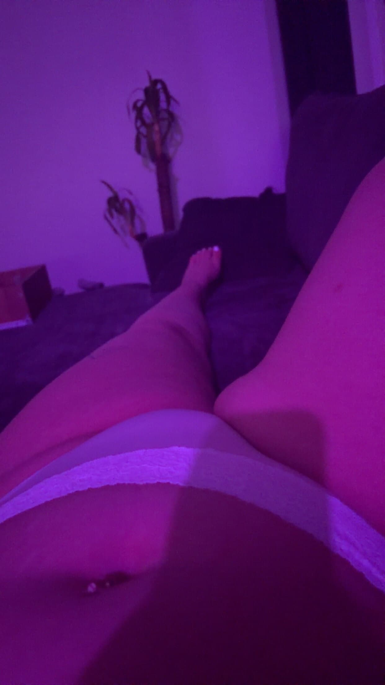 Curvygoddess04_VIP banner image