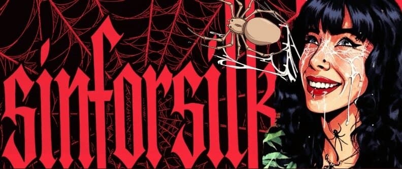 Silk Shadows🕷️ banner image