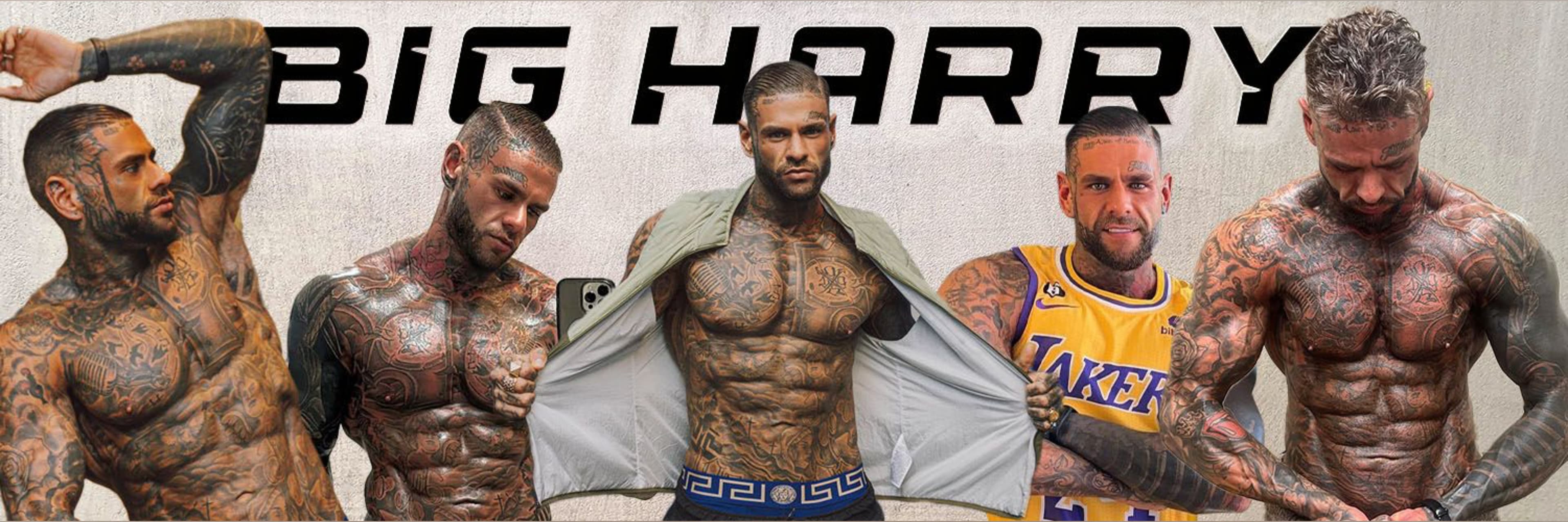 BIG HARRY🤪😈 banner image