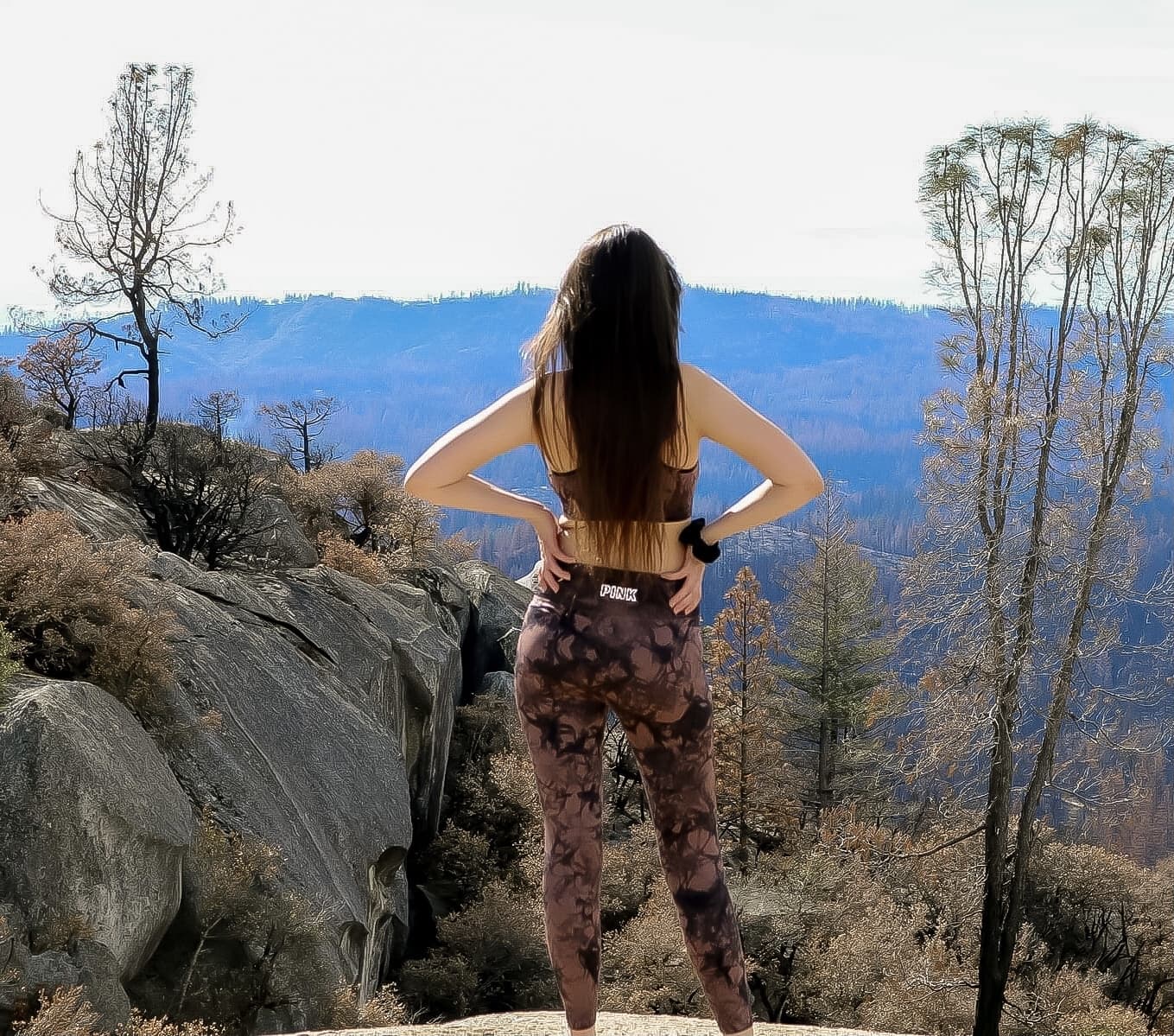 Miss Babycake banner image