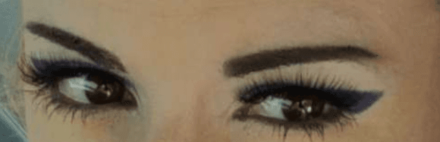 GypsiLynx banner image