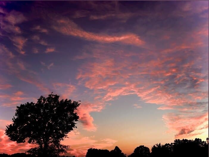 Brooke banner image